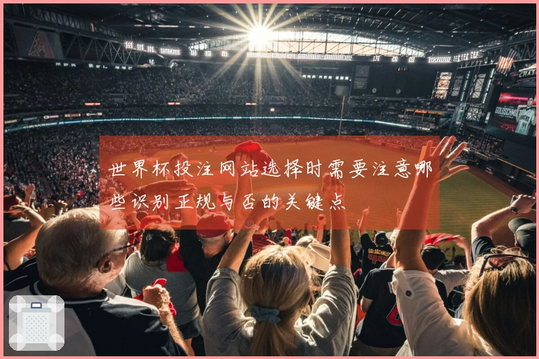 世界杯投注网站选择时需要注意哪些识别正规与否的关键点