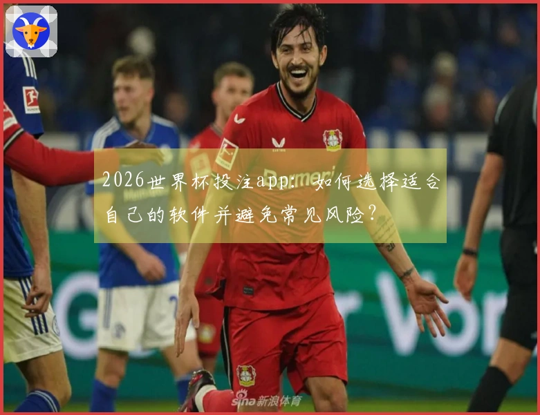 2026世界杯投注app：如何选择适合自己的软件并避免常见风险？
