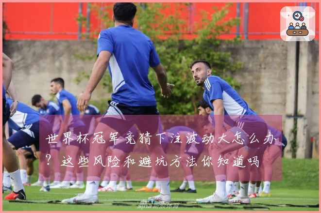 世界杯冠军竞猜下注波动大怎么办？这些风险和避坑方法你知道吗
