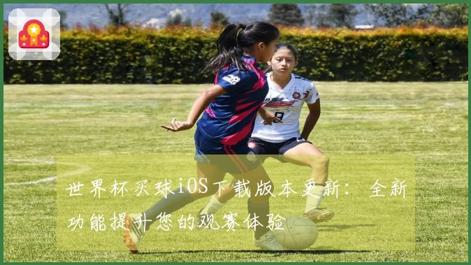 世界杯买球iOS下载版本更新：全新功能提升您的观赛体验