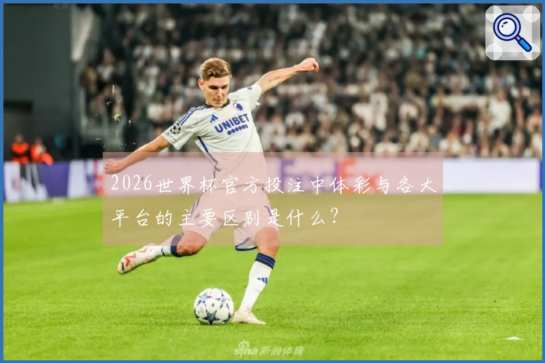 2026世界杯官方投注中体彩与各大平台的主要区别是什么？