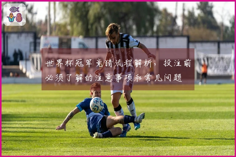 世界杯冠军竞猜流程解析，投注前必须了解的注意事项和常见问题