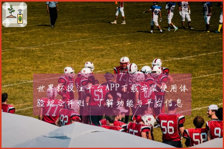 世界杯投注平台APP下载安装使用体验综合评测，了解功能与平台信息