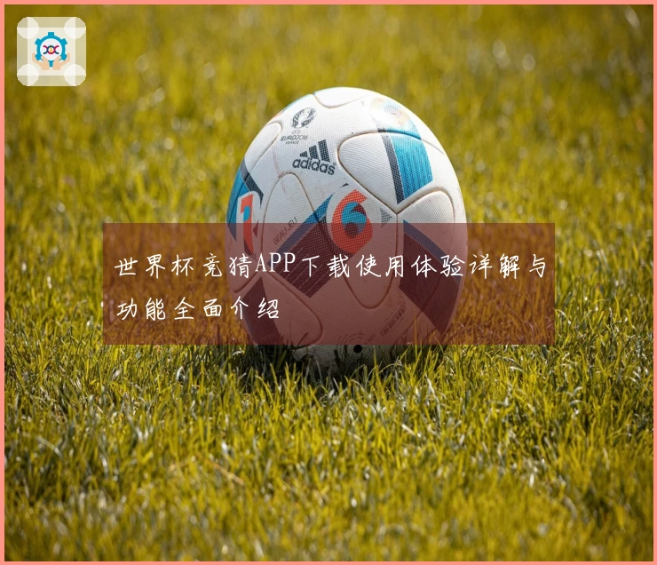 世界杯竞猜APP下载使用体验详解与功能全面介绍
