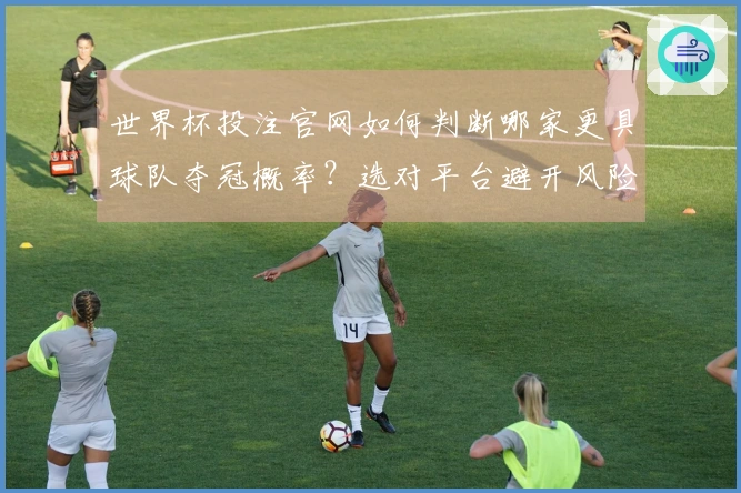 世界杯投注官网如何判断哪家更具球队夺冠概率？选对平台避开风险！