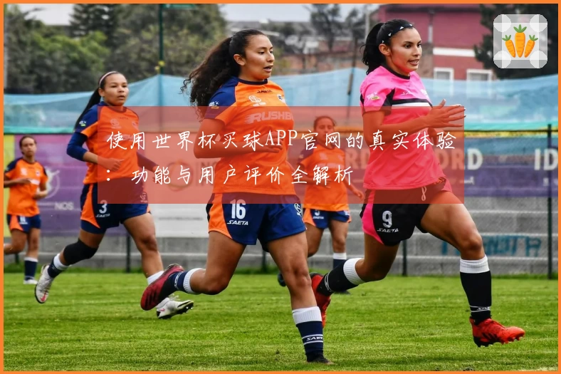 使用世界杯买球APP官网的真实体验：功能与用户评价全解析