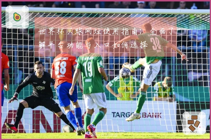 世界杯买球网址使用指南：全面了解平台功能与入口如何选择