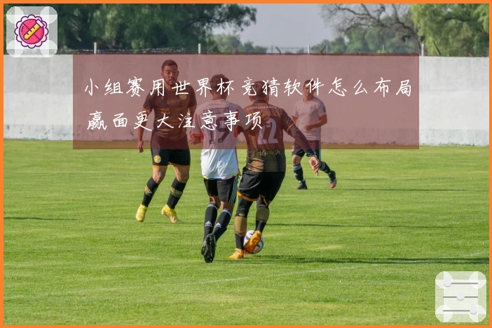 小组赛用世界杯竞猜软件怎么布局 赢面更大注意事项