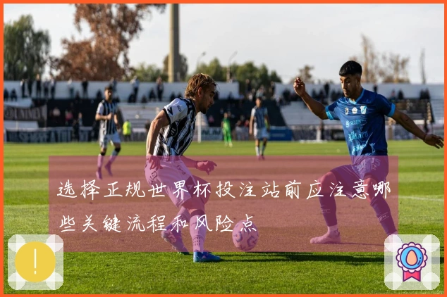 选择正规世界杯投注站前应注意哪些关键流程和风险点