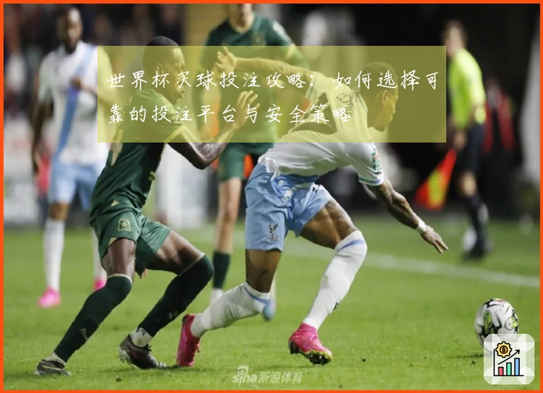 世界杯买球投注攻略：如何选择可靠的投注平台与安全策略