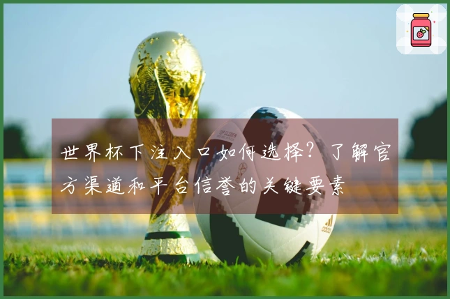 世界杯下注入口如何选择？了解官方渠道和平台信誉的关键要素
