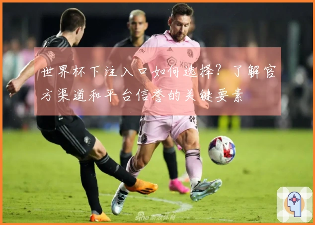世界杯下注入口如何选择？了解官方渠道和平台信誉的关键要素