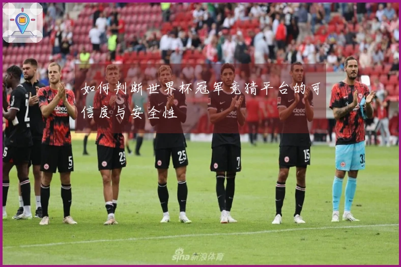 如何判断世界杯冠军竞猜平台的可信度与安全性