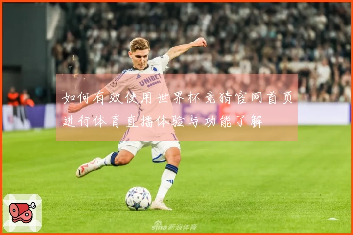 如何有效使用世界杯竞猜官网首页进行体育直播体验与功能了解