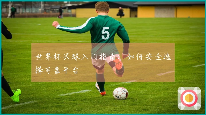 世界杯买球入门指南：如何安全选择可靠平台